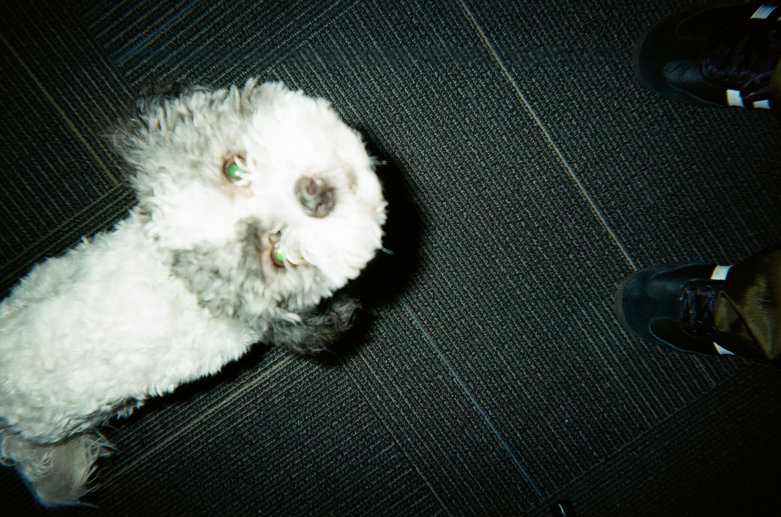 9 26 2023   12537102   Film 125371020008